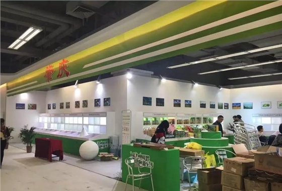 大黄蜂展览设计